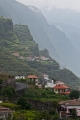 502_Madera_Ponta Delgada